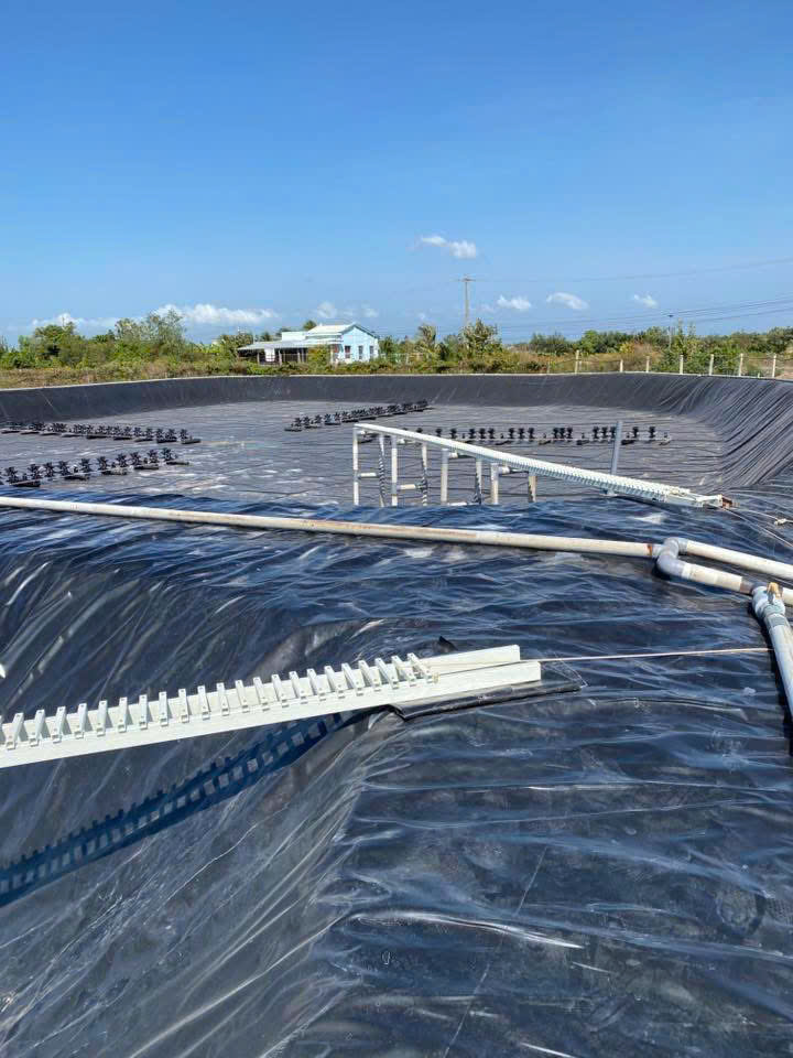 Các mô-đun lối đi Composite FRP tại ao nuôi Hưng Thịnh Phát