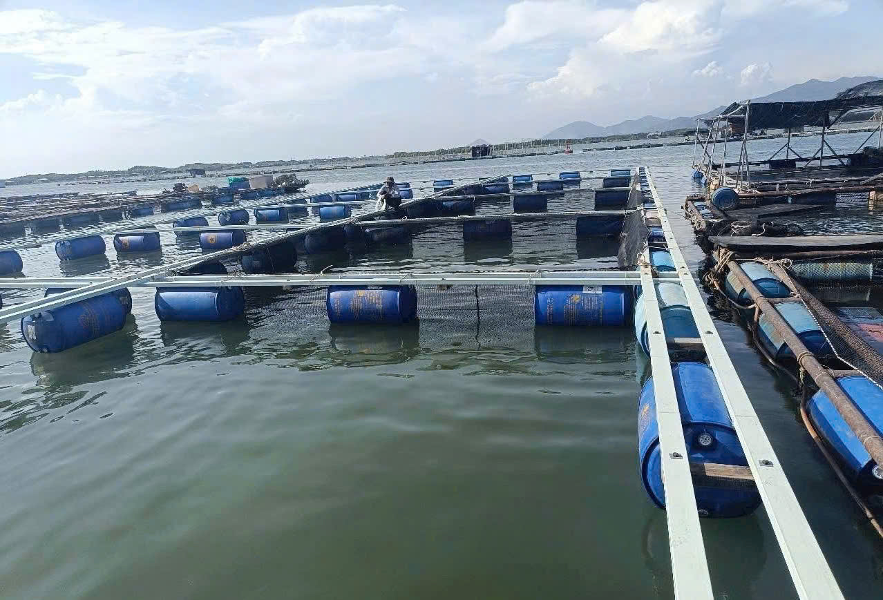 Xà Gồ Composite Làm Bè Cá: Ứng Dụng Thực Tế Và Lưu Ý Kỹ Thuật