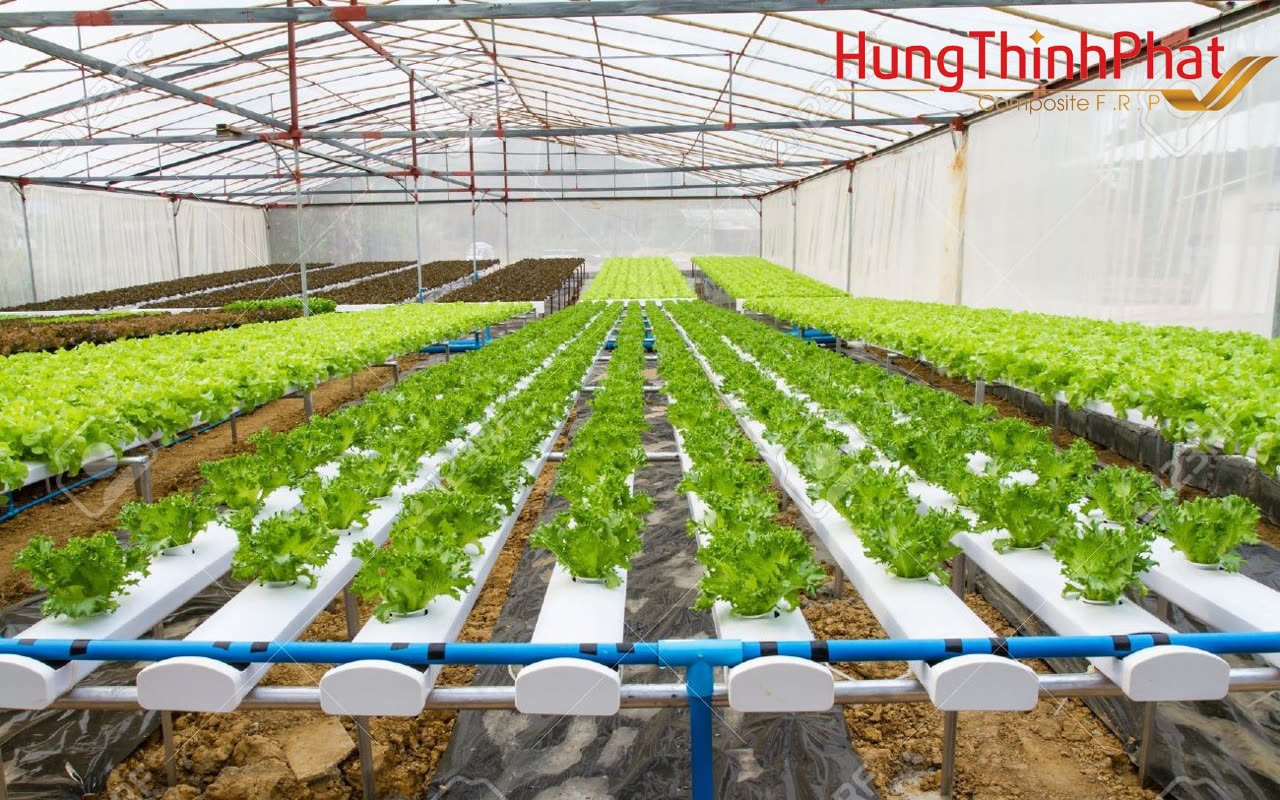 Tấm lợp lấy sáng ứng dụng trong nhà kính Đà Lạt - Lâm Đồng